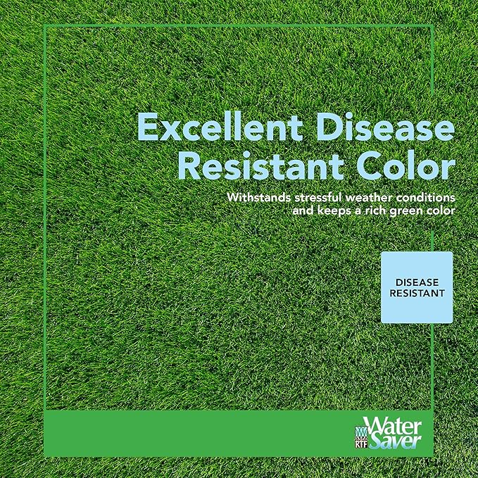 WaterSaver Grass Mixture with Turf-Type Tall Fescue Used to Seed New Lawn and Patch Up Jobs-Grows in Sun or Shade, 1.5 lbs - Covers 1/100 Acre