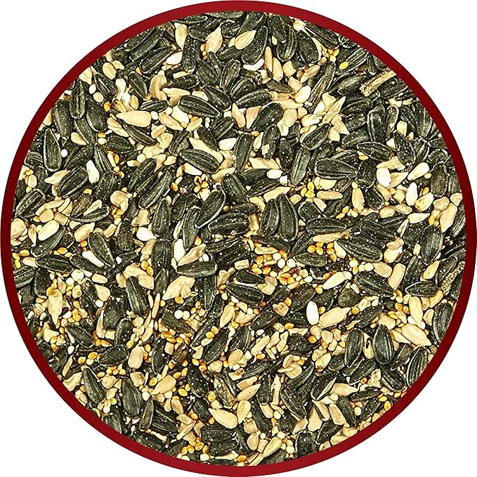 Kaytee Midwestern Regional Seed Blend for Cardinals, Finches, Chickadees, Woodpeckers and Other Outside Wild Birds, 14 Pound Box