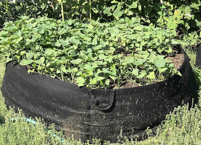 RootEase 5-Pack Garden Planting Aeration Fabric Pot, Heavy Duty Durable Fabric Grow Bag / Planter, Raised Bed Gardening, Best Air Pruning Root Treatment Eco-Friendly Grow Bags with Handles