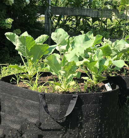 EnRoot Products LLC RootEase 5-Pack Garden Planting Fabric Pot, Heavy Duty Durable Grow Bags/Planter, Raised Bed Gardening, Best Eco-Friendly Grow Bags with Sturdy Handles (3 Gallon, Pink)