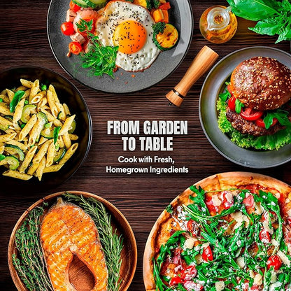 Garlic Chives Seeds for Planting – 300+ Heirloom Non-GMO Asian Herb Seeds – Chinese Chives for Cooking, Stir Fry & Garden Growing (Allium tuberosum)
