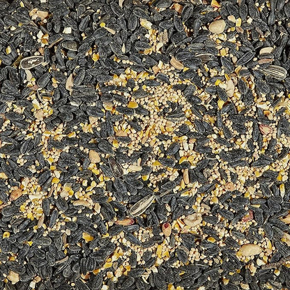 Kaytee Wild Bird Seed, 7 Pound | Songbird Blend | Pack of 2