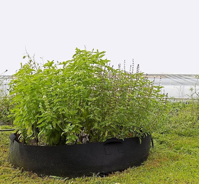 Bootstrap Farmer Large Grow Bag Raised Bed with Handles, 3 Pack, 100 Gallon