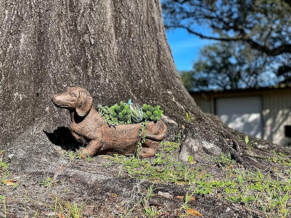 Whimsical Dachshund Dog Resin Planter: Rustic Brown Finish, Indoor-Outdoor Decor, 20 Inches Long, Weather-Resistant Succulent, Herb, and Flower Plant Pot