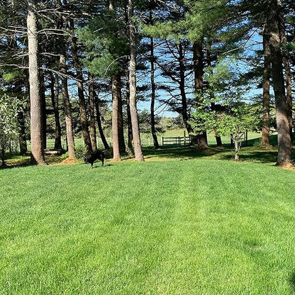 Purely Organic Products Lawn Food 10-0-2, 15 LB (Covers 3,000 Square Feet)