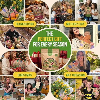 Organo Republic 30 Most Popular Winter Vegetable Garden Seeds Variety Pack- Outdoors/Indoor 33,200+ Non-GMO Heirloom Veggie Seeds Broccoli Beet Carrot Cabbage Chives Lettuce Radish Pea Spinach & More