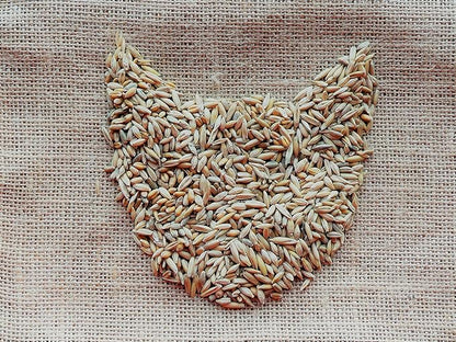 Simple Cat Grass Blend | 100% US Organic + 4 Popular Seeds | Wheat, Barley, Oats, Rye Mix Combo | Show Your Love with a Healthy Pet Snack Treat (6 Ounce ~4800 Seeds)