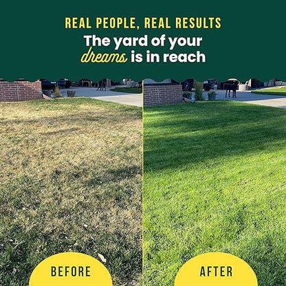 Sunday Lawn Kickstart + Green Machine Liquid Fertilizer - Lawn Fertilizer for Lush Growth - Includes Sprayer Attachment for Easy Application in 15 Minutes or Less - Covers Up to 5,000 Sq Ft Each