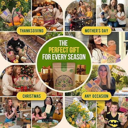 20 Culinary Herbs & Edible Flower Seed Variety Pack for Planting Indoor & Outdoors. 9500+ Non-GMO Heirloom Flower Seeds: Basil, Borage, Echinacea, Lavender, Oregano, Rosemary Seeds & More