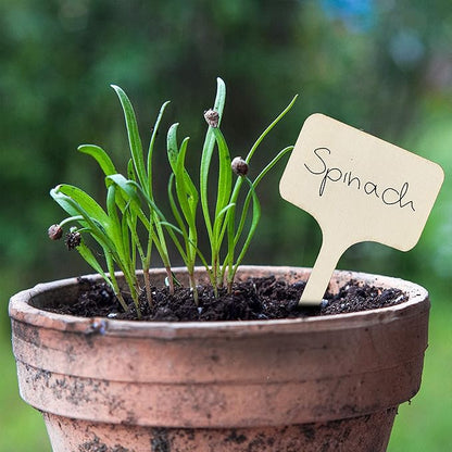 OwnGrown Wooden Plant Tags - 60 Labels and Marker Pen - Wooden Garden Sign for Identification - Seedling Tags for Gardening, Garden Stakes for Potted Plants, Herbs, Vegetables - 4"x2.4"