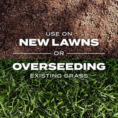 Scotts Turf Builder Rapid Grass Southern Gold Blend for Tall Fescue Lawns, Combination Seed and Fertilizer, 16 lbs.