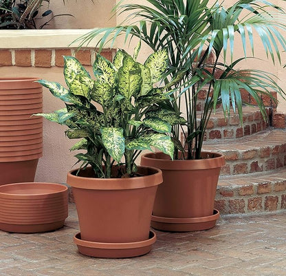 Bloem Terratray 1.7 in. H x 5.3 in. Dia. Resin Traditional Terracotta Clay Tray