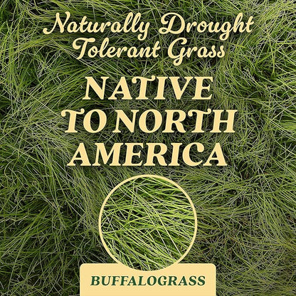 O.M. Scott and Sons Buffalograss Seed, Naturally Drought Tolerant Native Grass Seed, 350 sq. ft., 0.7 lb.