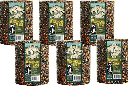 Mr. Bird Woodpecker Feast Birdseed Cylinder - Large 6" Diameter