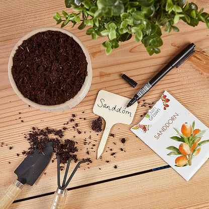OwnGrown Wooden Plant Tags - 60 Labels and Marker Pen - Wooden Garden Sign for Identification - Seedling Tags for Gardening, Garden Stakes for Potted Plants, Herbs, Vegetables - 4"x2.4"